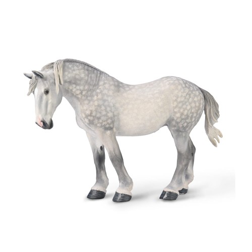 80029 KLACZ PERCHERON SIWA JABŁKOWITA.jpg