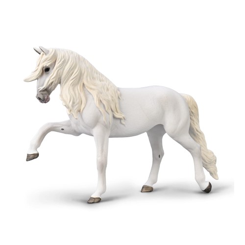 80035 KLACZ LIPICAŃSKA CHÓD HISZPAŃSKI.jpg