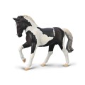 80027 OGIER CIEPŁOKRWISTY CZARNY TOBIANO.jpg