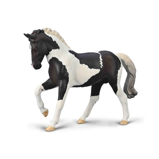 80027 OGIER CIEPŁOKRWISTY CZARNY TOBIANO.jpg