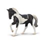 80027 OGIER CIEPŁOKRWISTY CZARNY TOBIANO.jpg