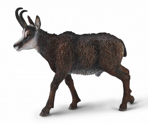 80045 KOZICA PÓŁNOCNA.jpg