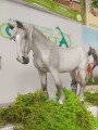 Collecta 80029 klacz percheron siwa_1.jpg