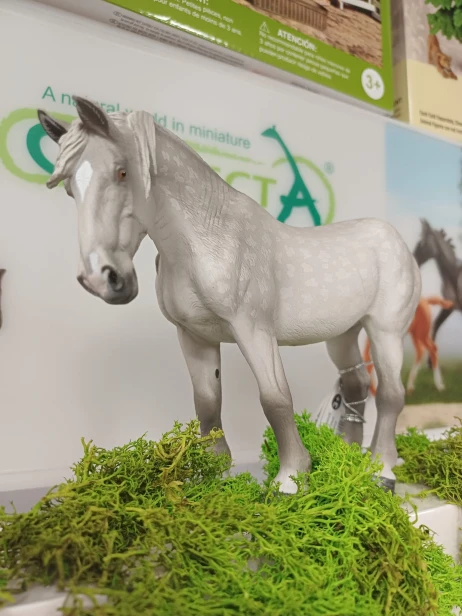 Collecta 80029 klacz percheron siwa_1.jpg
