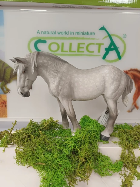 Collecta 80029 klacz percheron siwa.jpg