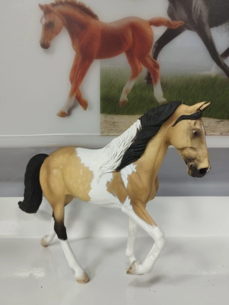80028 OGIER TENNESSEE WALKING HORSE JELENI TOBIANO_1.jpg