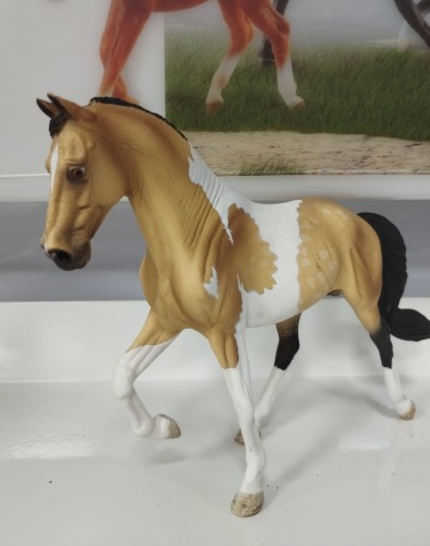 80028 OGIER TENNESSEE WALKING HORSE JELENI TOBIANO.jpg