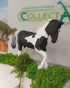 Collecta 80027 ogier ciepłokrwisty tobiano_1.jpg