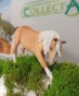 COLLECTA 80042 KOŃ LUZYTAŃSKI KLACZ KŁANIAJĄCA SIĘ_1.jpg