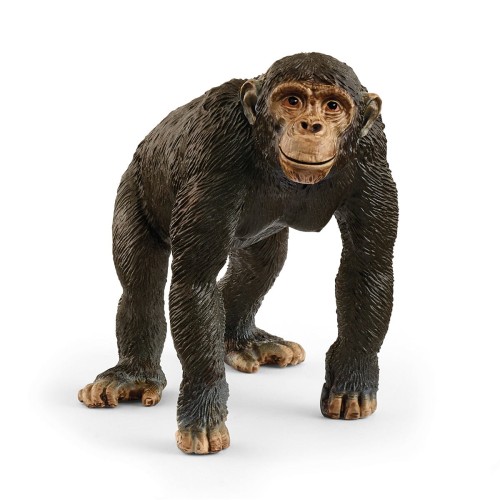 Schleich 14883.jpg