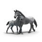 Schleich 42776_2.jpg