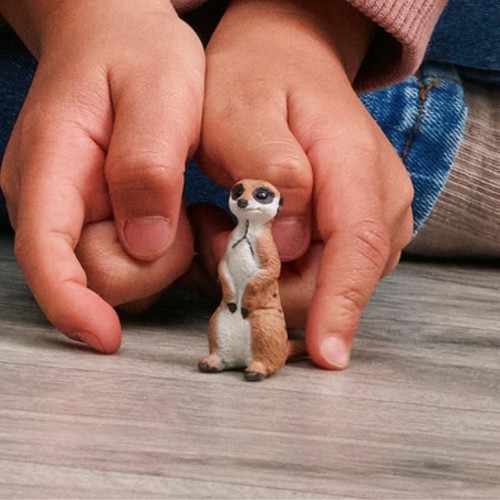 Schleich 14935_1.jpg