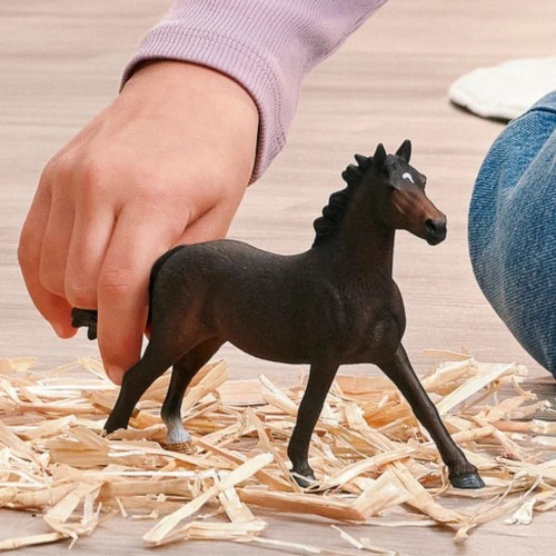 Schleich 14914_1.jpg