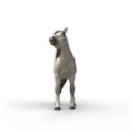 Schleich 14916_2.jpg