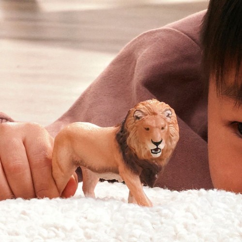Schleich 14974_1.jpg