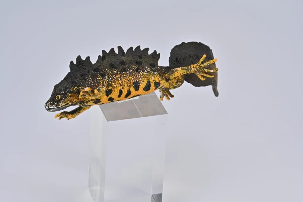 Collecta 80064_4.jpg