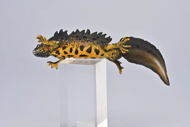 Collecta 80064_3.jpg