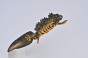 Collecta 80064_1.jpg