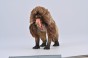 Collecta 80066_2.jpg