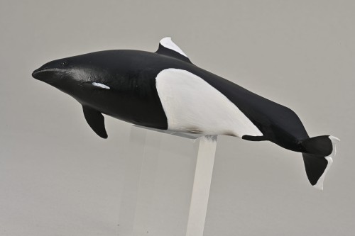 Collecta 80068_4.jpg