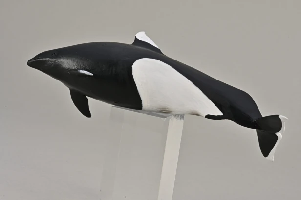 Collecta 80068_4.jpg