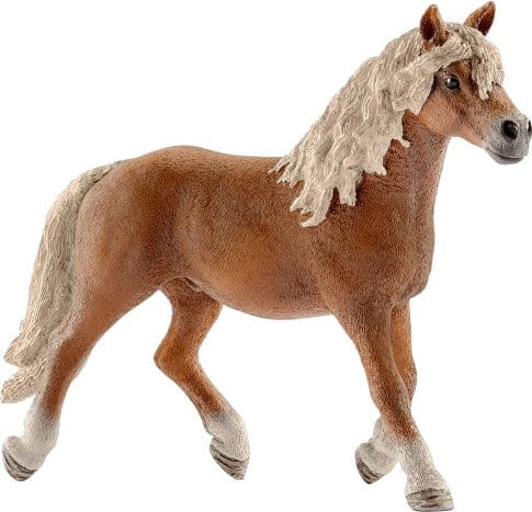 schleich13813.jpg