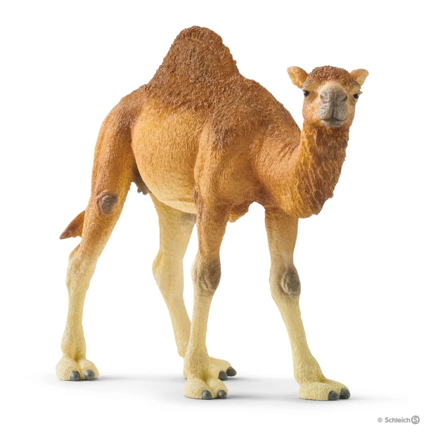 schleich_14832_2.jpg