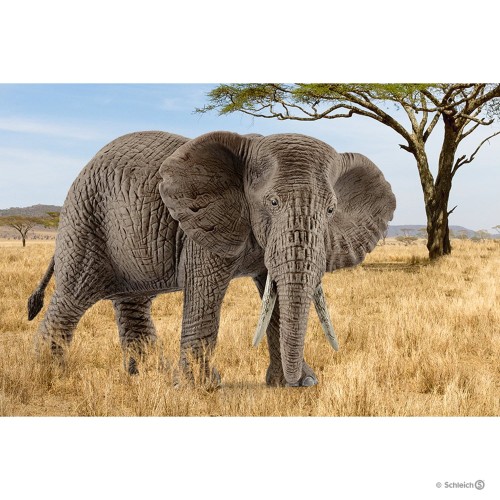 schleich 14761_2.jpg