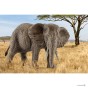 schleich 14761_2.jpg