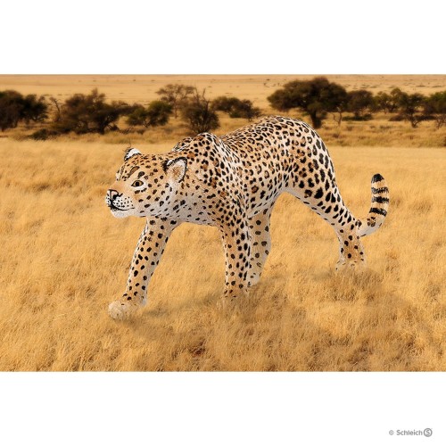 Schleich 14748_2.jpg