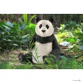 Schleich 14773_3.jpg