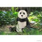 Schleich 14773_3.jpg