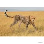 Schleich 14746_2.jpg