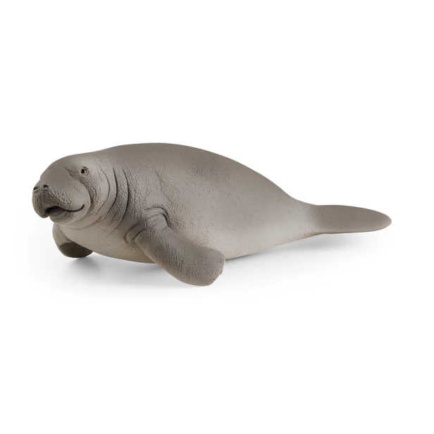 14839_manatee-_main_rgb_15954.jpg