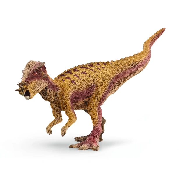 15024_pachycephalosaurus_main_rgb_16149.jpg