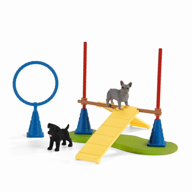 42536_puppy-agility-training_func_rgb_16072.jpg