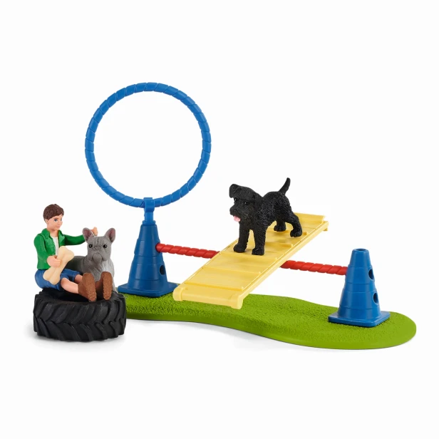 42536_puppy-agility-training_func_rgb_16073.jpg