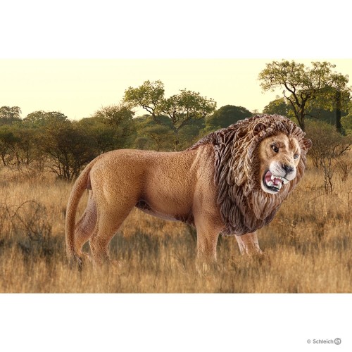 Schleich 14726_2.jpg
