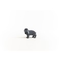 13935_lop-eared_rabbit_02.jpg