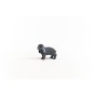 13935_lop-eared_rabbit_02.jpg