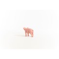 13934_piglet_02.jpg