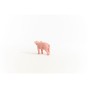 13934_piglet_02.jpg