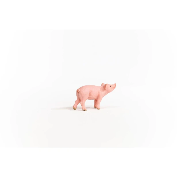 13934_piglet_03.jpg