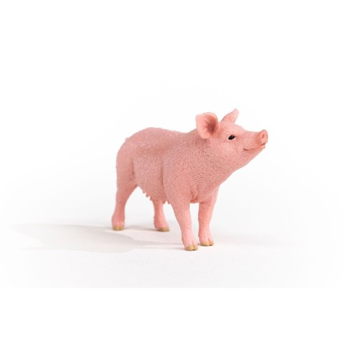 13933_pig_05.jpg