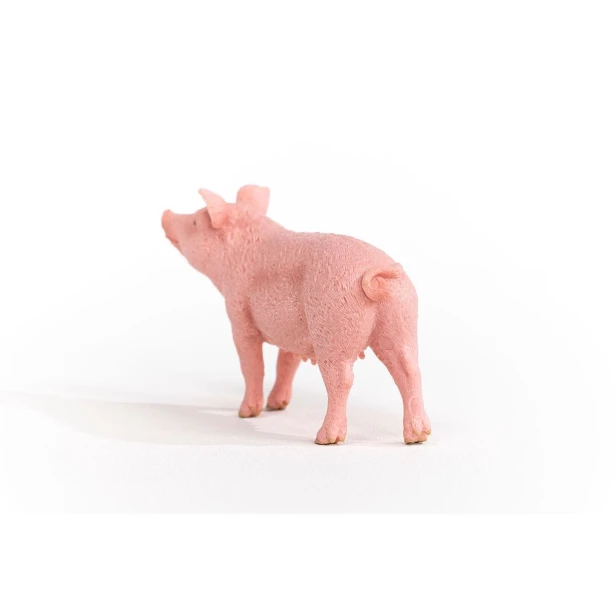 13933_pig_03.jpg