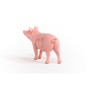 13933_pig_03.jpg