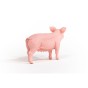13933_pig_04.jpg