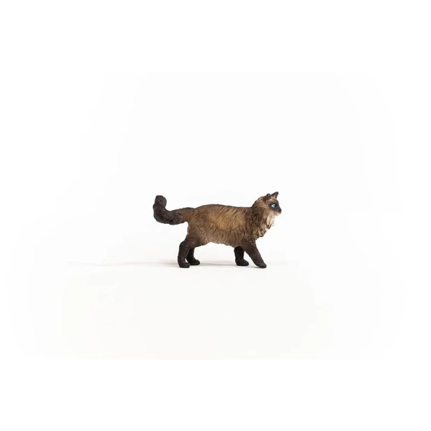 13940_ragdoll_cat_04.jpg