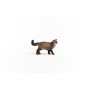 13940_ragdoll_cat_04.jpg