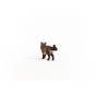 13940_ragdoll_cat_03.jpg